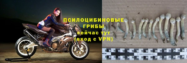 не бодяженный Богородск