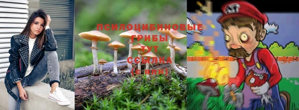 мет Богданович