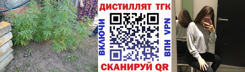 Купить где  Острогожск  Дистиллят ТГК гашишное масло 