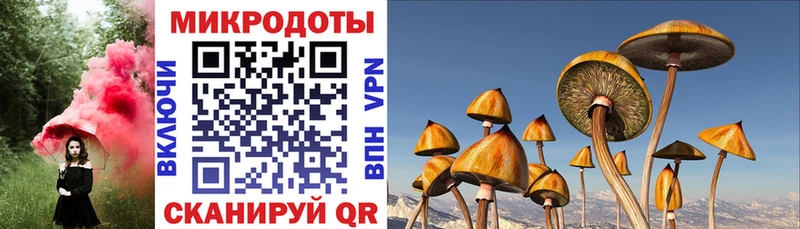 Галлюциногенные грибы Magic Shrooms  Купить закладки  Острогожск 